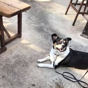 Meet your Posher, Steve